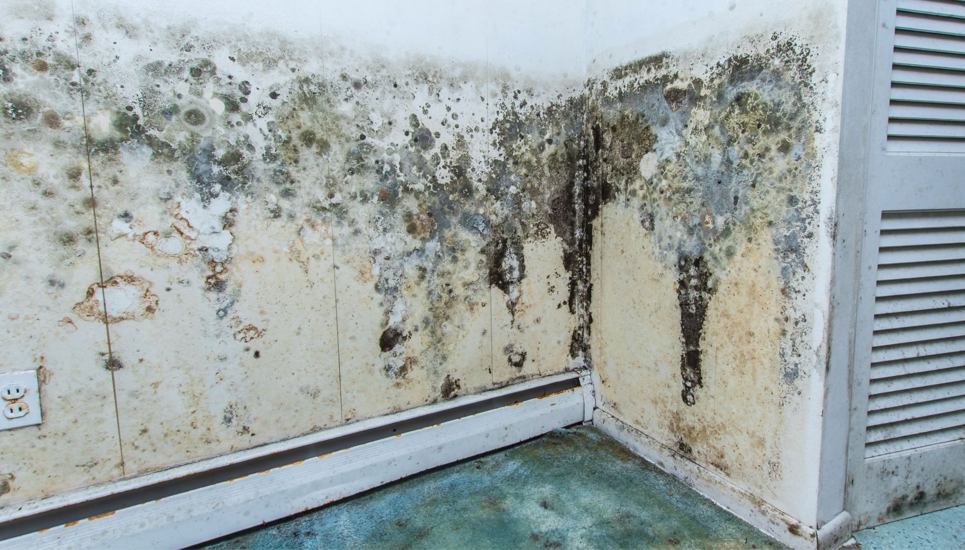 Mold-Damager-Odor-Control in Houston