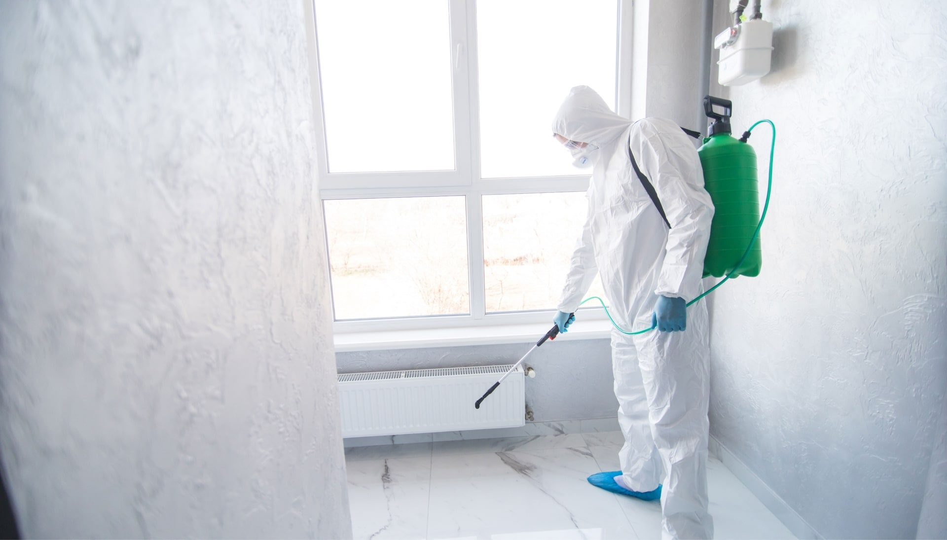 Mold-Inspection in Houston